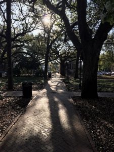 Savannah’s Secret Burial Grounds - Photo